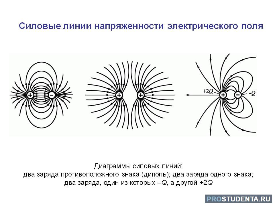 Магнитное поле магнитные линии физика 8 класс