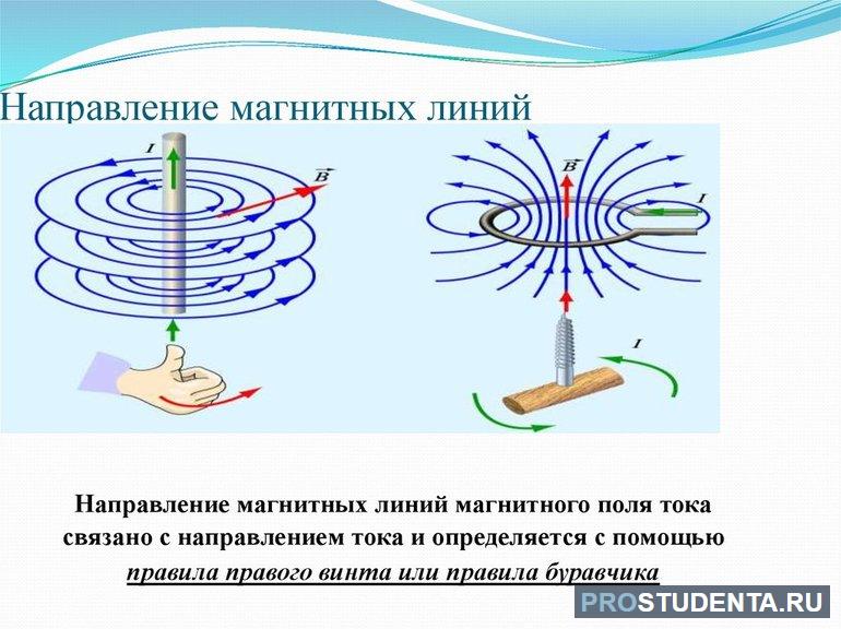 Магнитные линии это