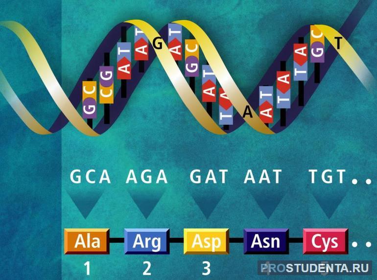 Свойства генетического кода