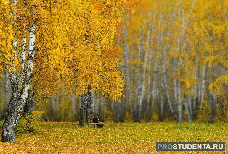 Осенняя роща и лирический герой