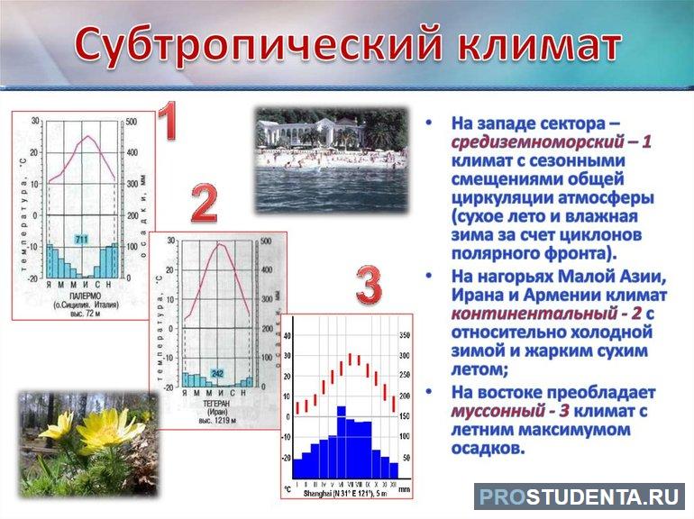 Средиземноморская система климата