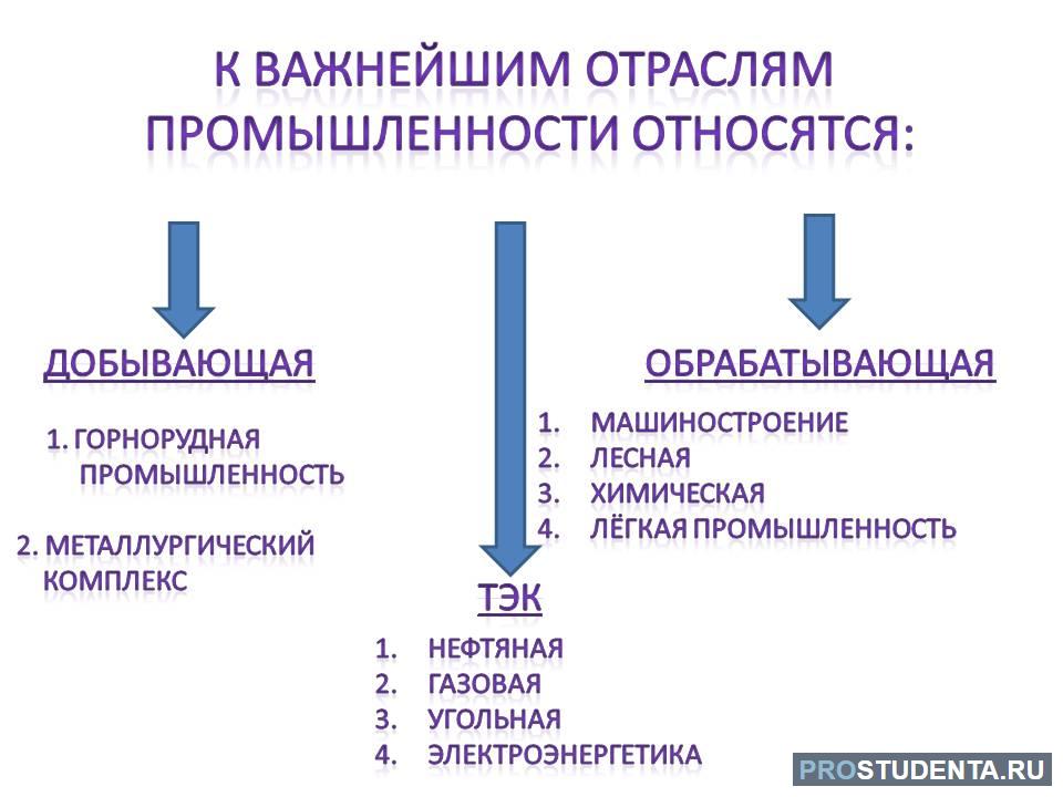 Транспорт относится к отраслям