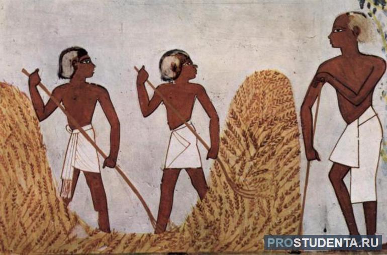 Жизнь земледельцев и ремесленников в Древнем Египте