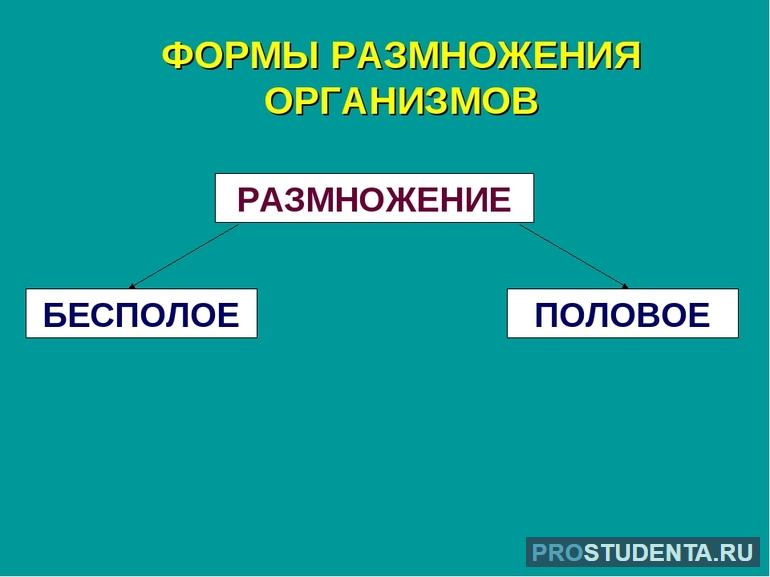 Виды полового размножения