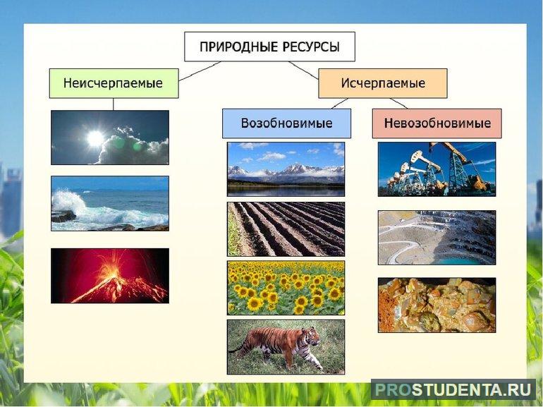 Возобновляемые и невозобновляемые природные ресурсы