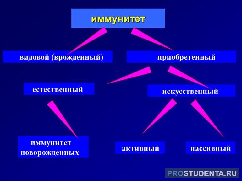 Классификация иммунитета