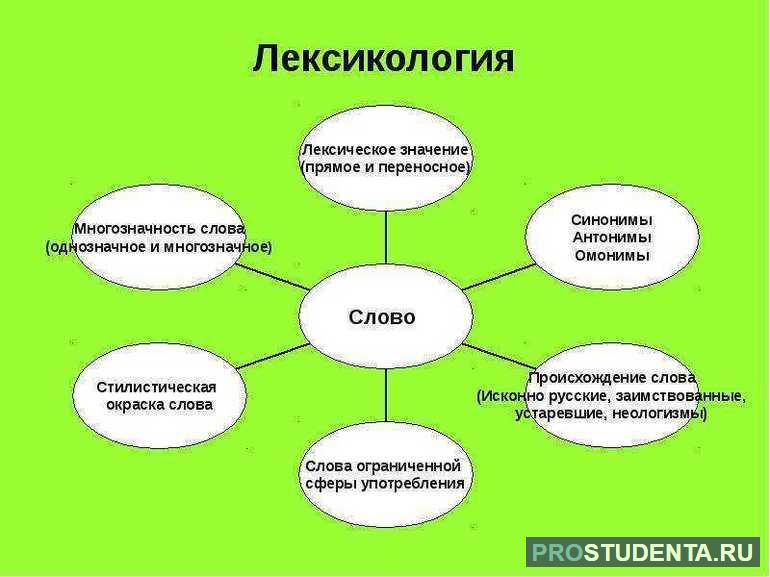 Лексикология в русском языке 