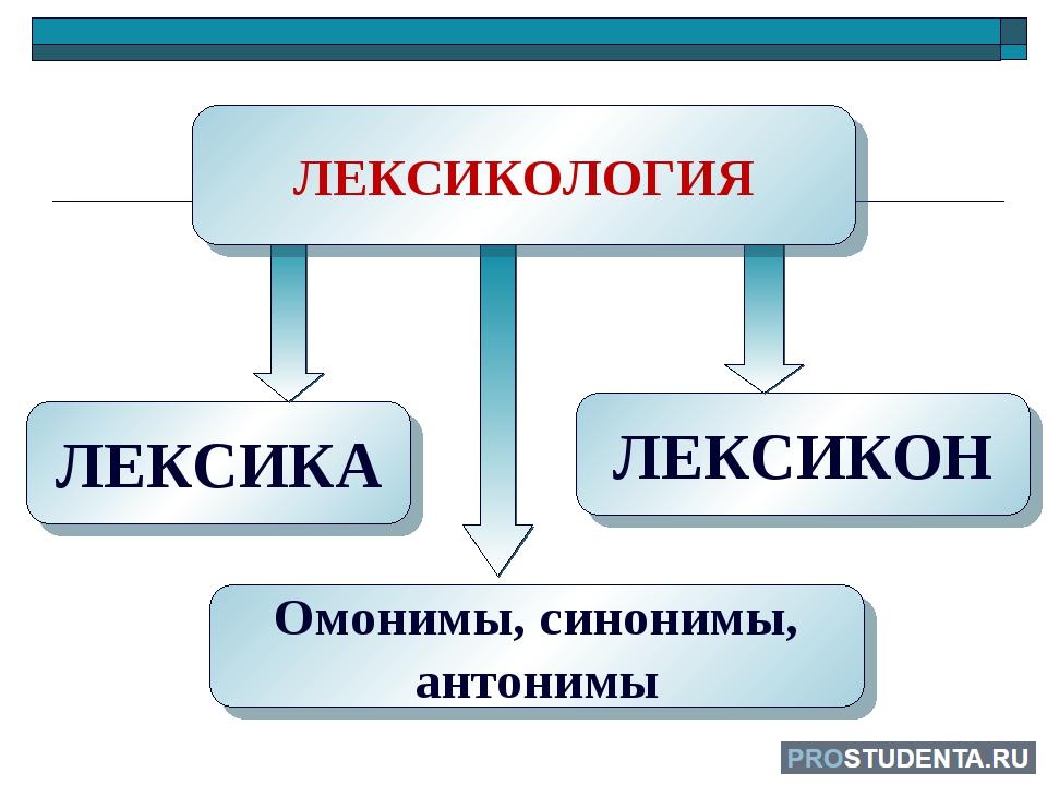 Лексик сайт. Лексика. Лексика картинки. Рисунок на тему лексика. Лексика и лексикология.