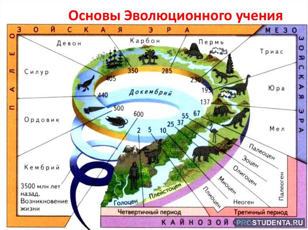 Эры и периоды в истории земли: древние и современные временные отрезки,  сколько лет длилась каждая эпоха