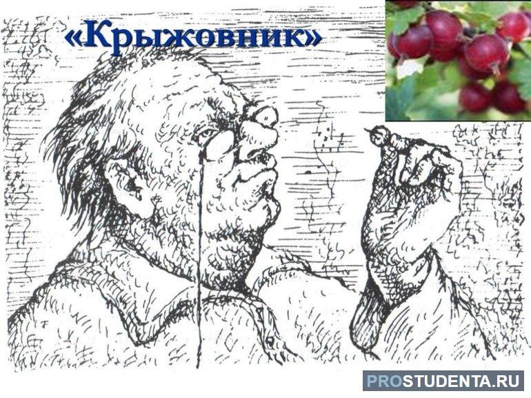 Краткий пересказ содержания произведения А. П. Чехова «Крыжовник»