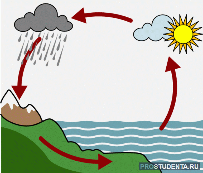 Особенности и схема мирового круговорота воды в природе
