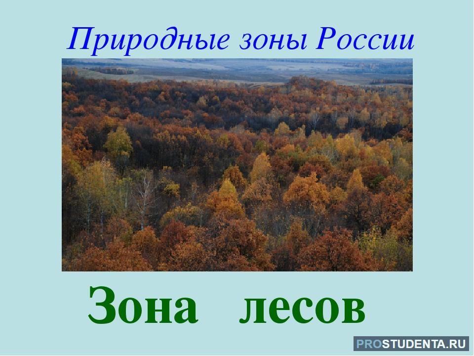 Леса россии презентация 1 класс. Природные зоны России. Природные зоны России леса. Зона лесов окружающий мир. Природные зоны зона лесов.