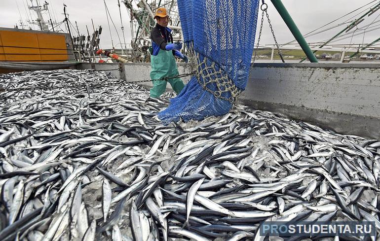Рыболовство и морской промысел в Японии