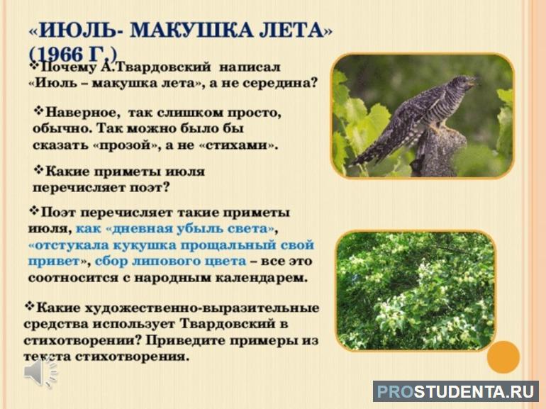 Краткое содержание Июль — макушка лета