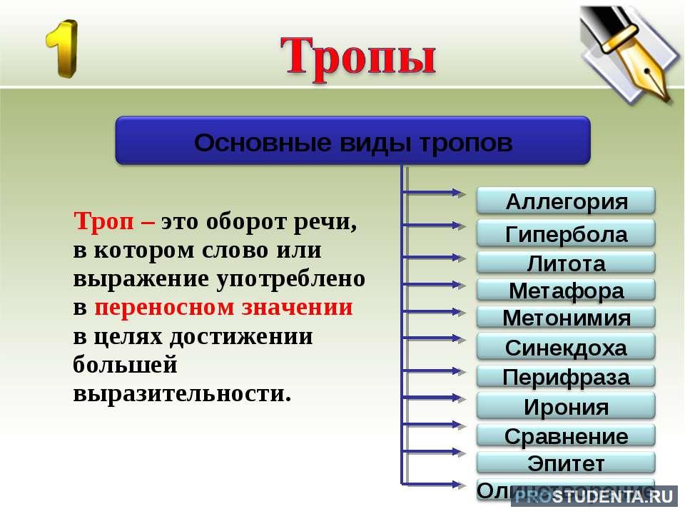 Тропы русского языка: их определения и виды, какие бывают, многообразие и  функции