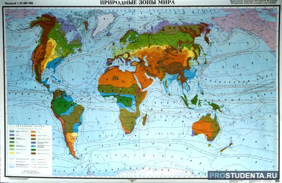 Природные зоны мира: географическое расположение на карте, названия иособенности территории