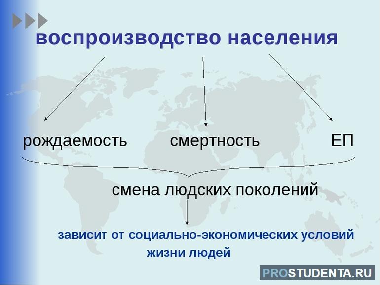 Воспроизводство населения зарубежной европы