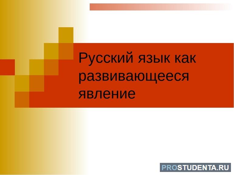 Русский язык как развивающееся явление: закономерности изменений