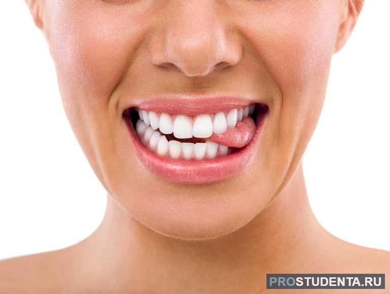 Зубы и язык