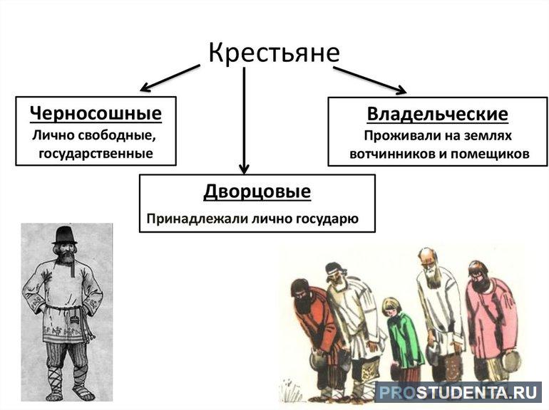 Владельческие крестьяне и черносошные крестьяне таблица