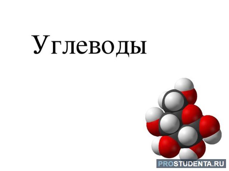 Кратко про строении углеводов: особенности структуры и функции