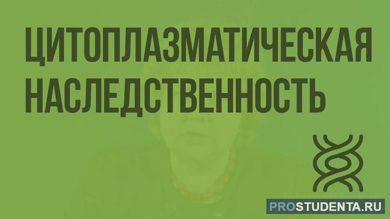 Цитоплазматическая наследственность: особенность ДНК и значение генов