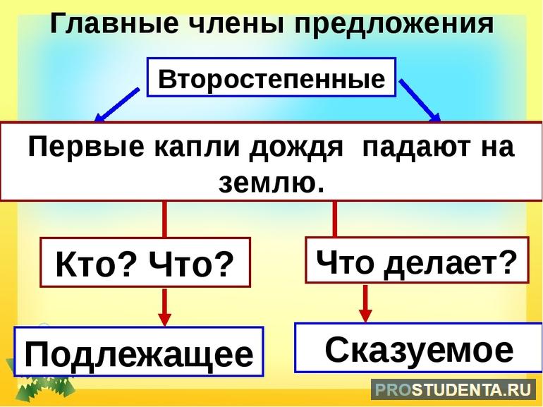 Главные и второстепенные члены предложения, их роль и примеры