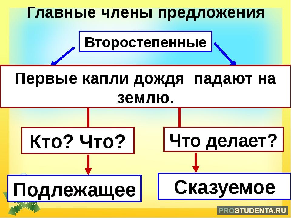 Сколько главных членов