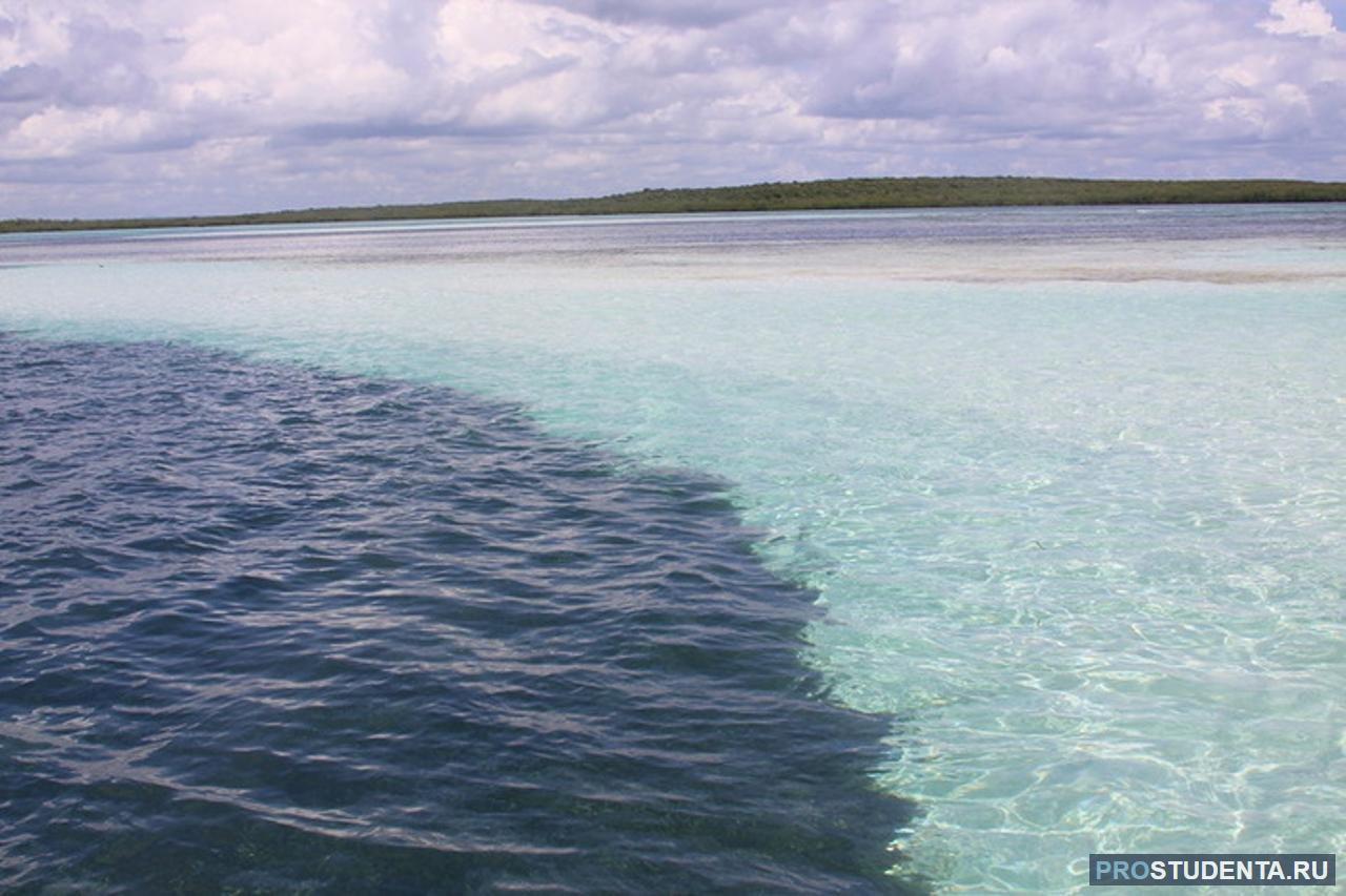 Почему воды атлантического. Галоклин Балтийское море. Карибское море Атлантический океан. Галоклин Скаген.