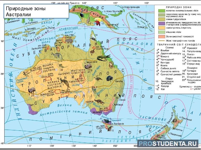 Природные зоны австралии 
