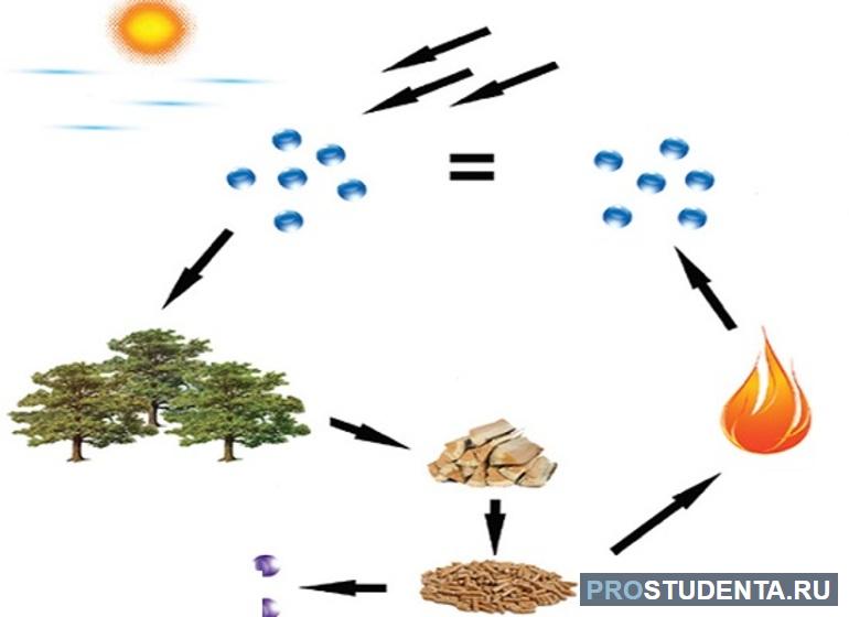 Превращения энергии в природе (физика, 7 класс)