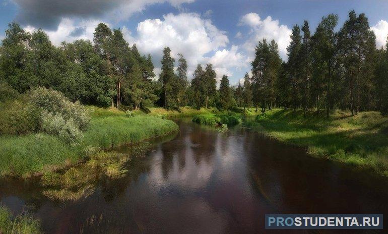 Природная зона Нижегородской области: климат, рельеф, флора и фауна