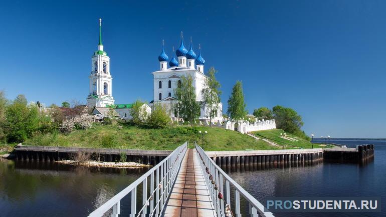 Растения нижегородской области 