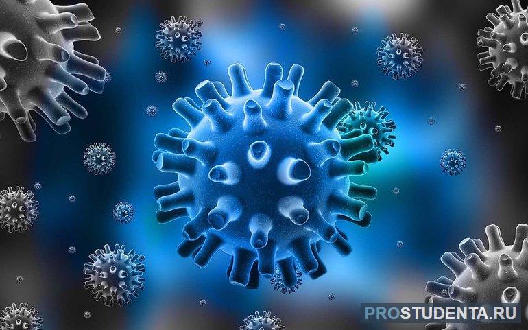 Представителями неклеточных форм жизни являются вирусы