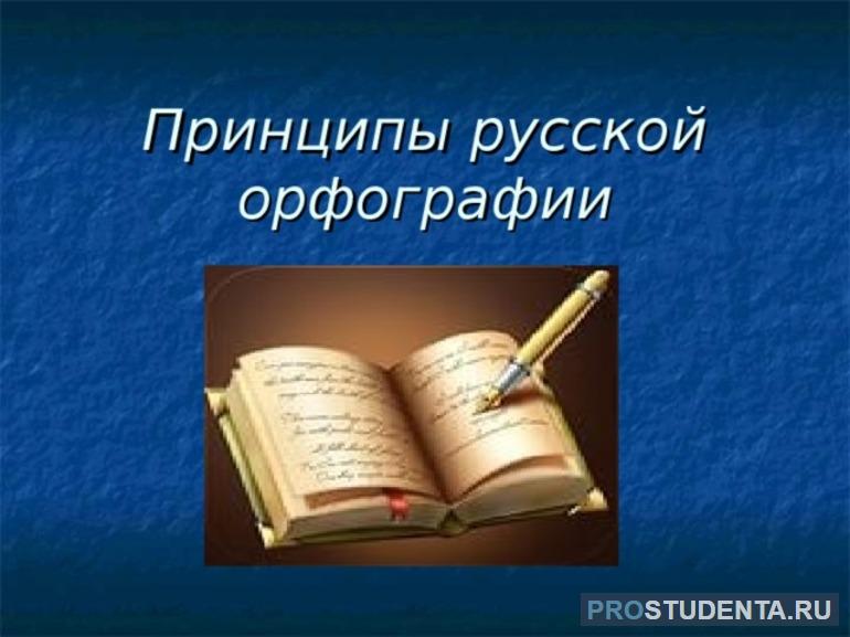 Принципы русской орфографии в примерах и описаниях языка