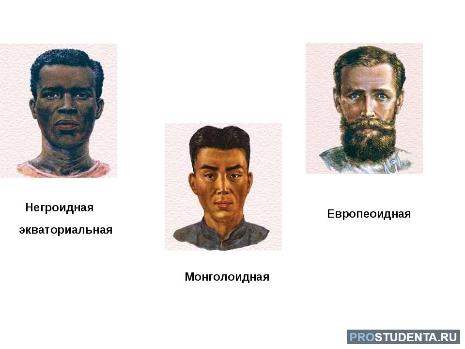 Человеческая раса негроидная. Европеоидная монголоидная негроидная раса. Монголоидная раса раса. Европеоидная монголоидная негроидная раса таблица. Монголоидный Тип лица.