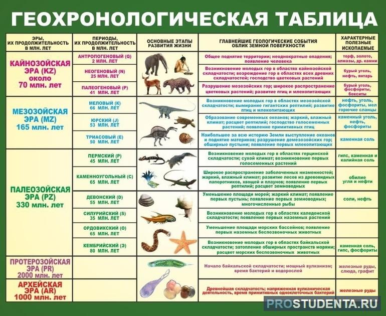 Основные этапы развития жизни на земле 