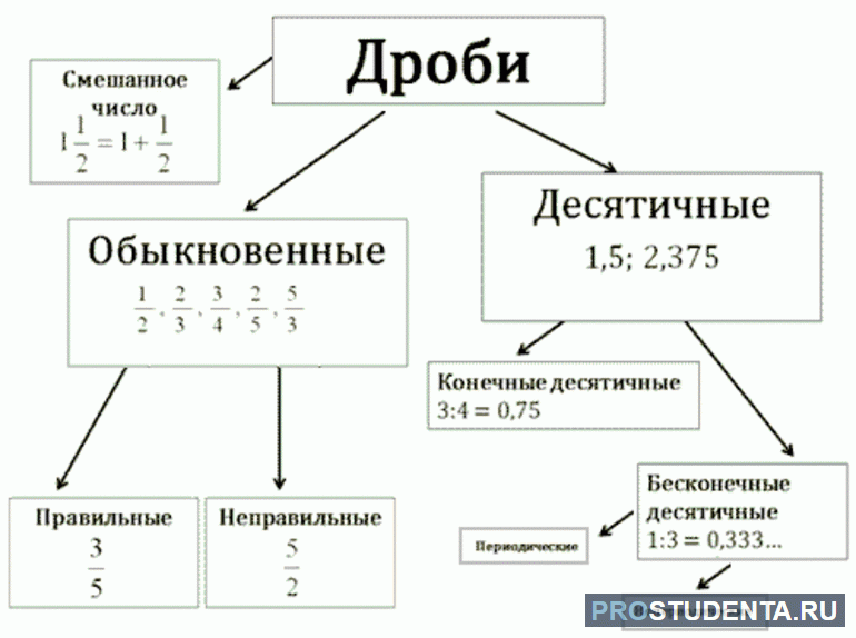 Что такое дробь математика