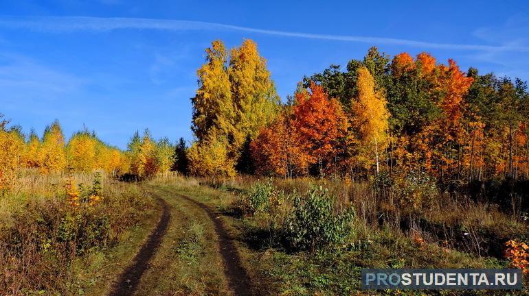 Первоначальная осень