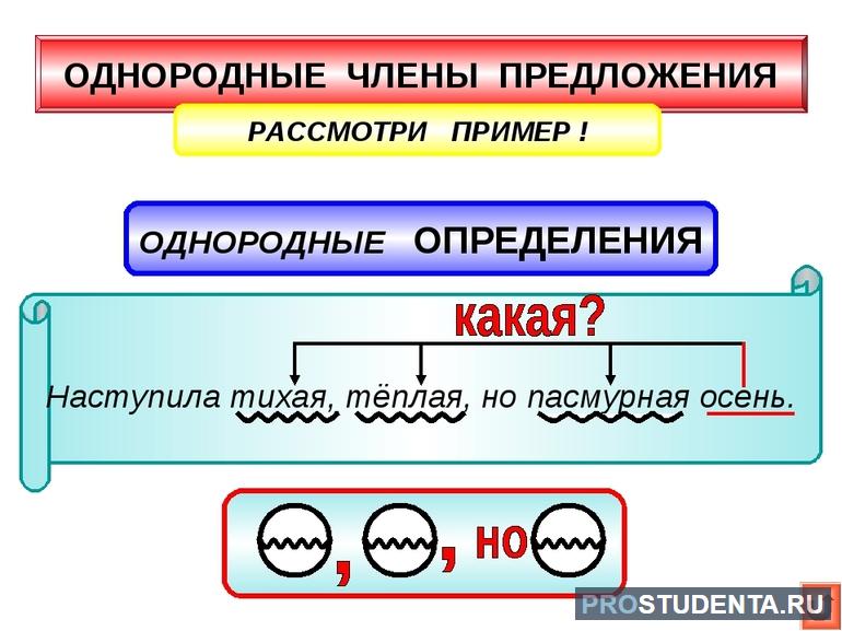 Однородные члены 