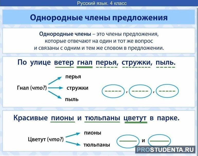 Что такое однородные члены