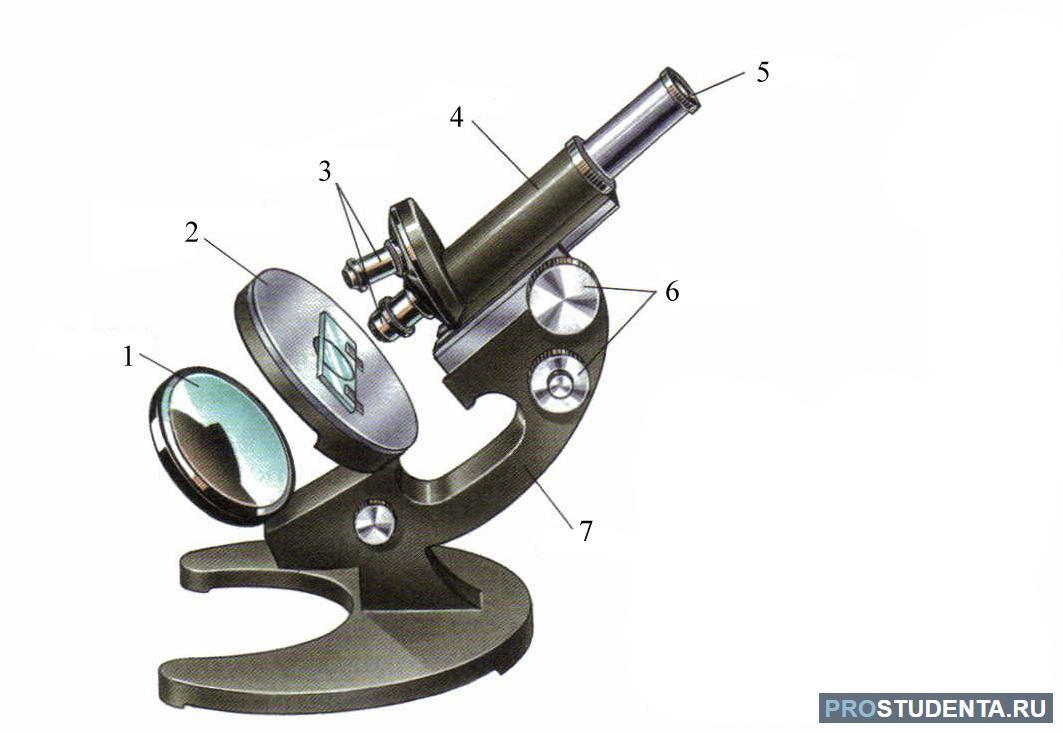 Каждая часть микроскопа. Строение микроскопа. Микроскоп 5 класс. Микроскоп с одним окуляром. Строение микроскопа 5 класс.