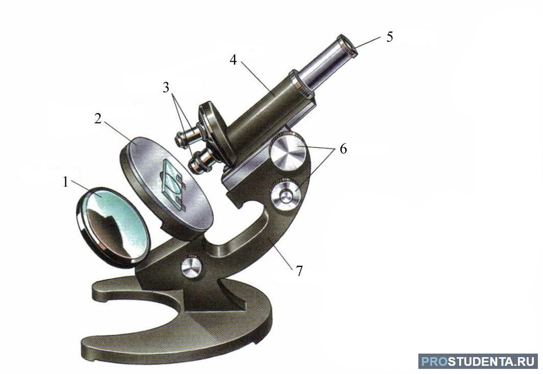 Какую функцию выполняет зеркальце в микроскопе