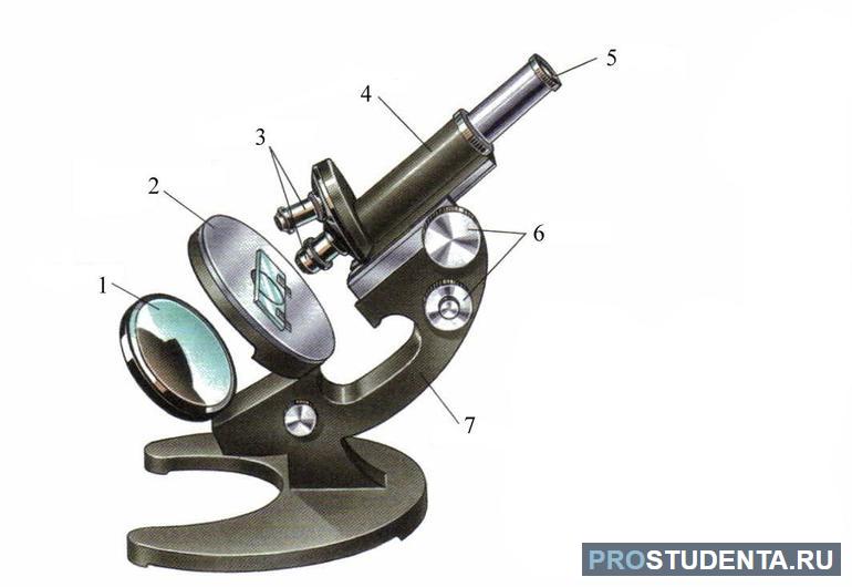 Микроскоп — «глазок в тайное»