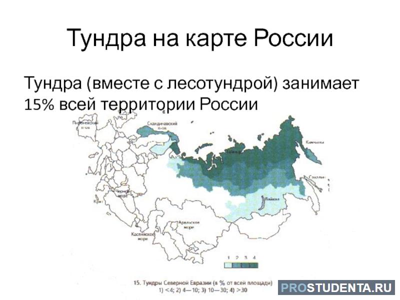 Географическое положение тундры в евразии