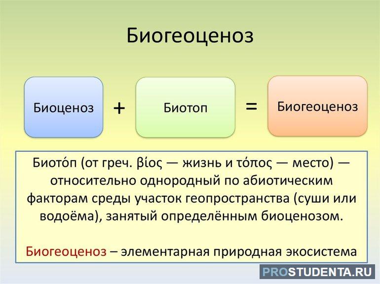 Влияние человека на биосферу 