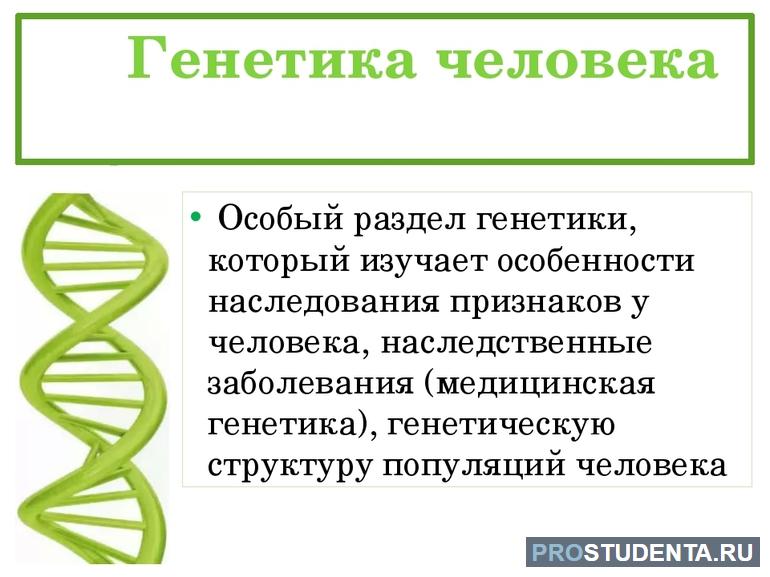Что такое генетика