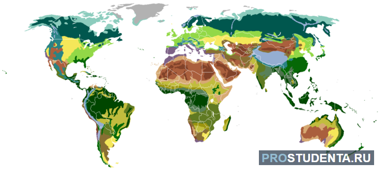 Таблица типов почвы и природные зоны Земли (география 7 класса)