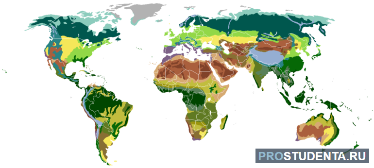 Природные зоны Земли