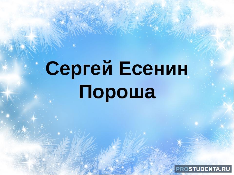 Стих пороша текст